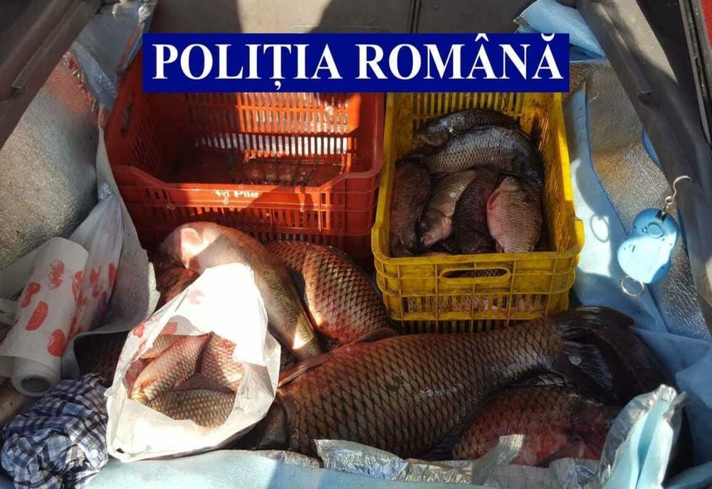 Dezlegare la pește nu și la dosar penal!