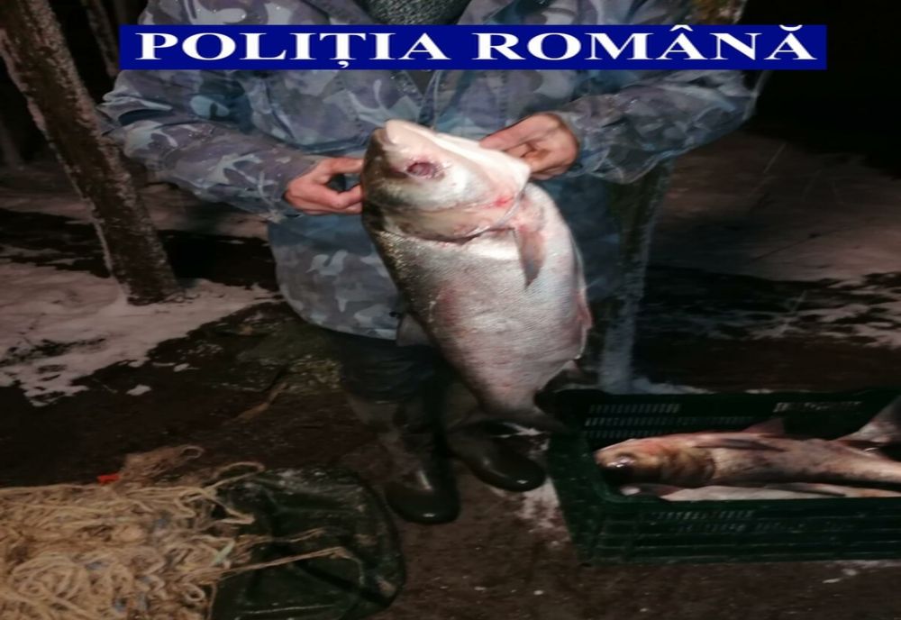 Braconier prins în flagrant în apropiere de Slobozia