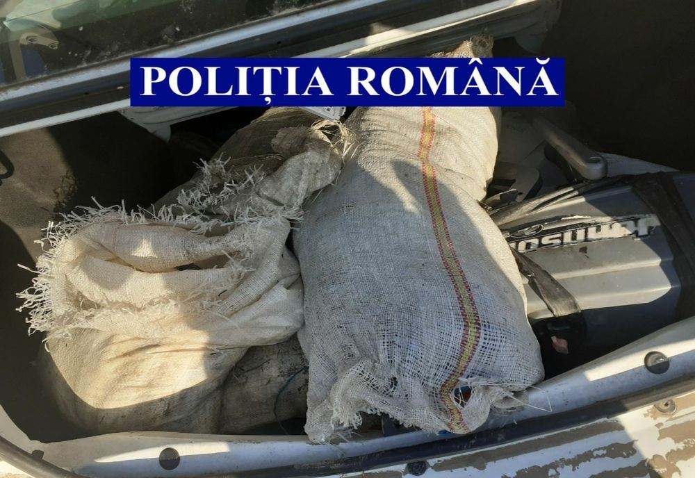 Zeci de kilograme de pește confiscate de polițiștii ialomițeni