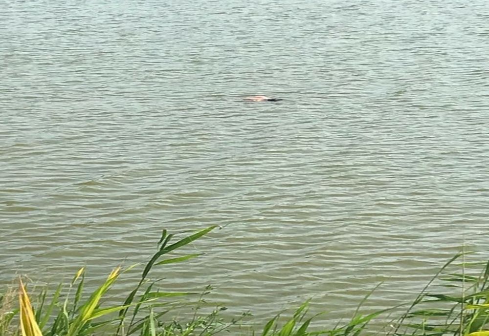 FOTO Descoperire macabră în Lacul Iezer