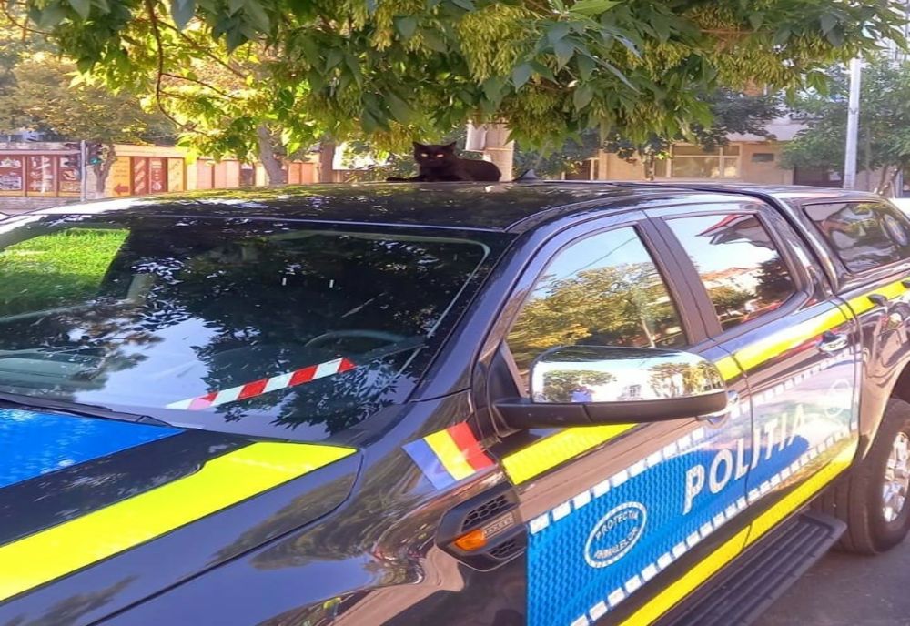 13, zi cu ghinion pentru un tânăr din Țăndărei