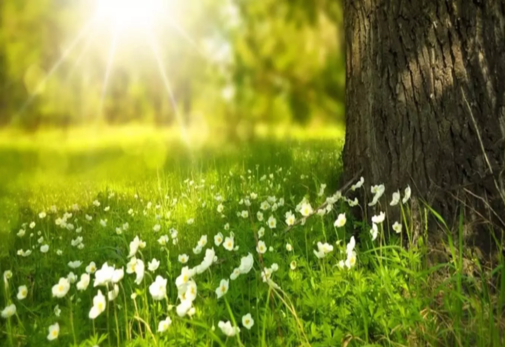 Anunț important de la ANM: Cum va fi vremea în perioada 21 martie- 18 aprilie