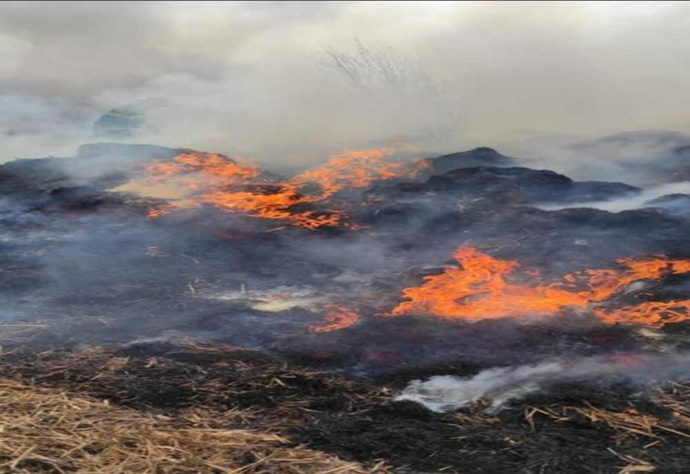 FOTO Incendiu violent în Ialomița. Pompieri din două județe se luptă cu flăcările