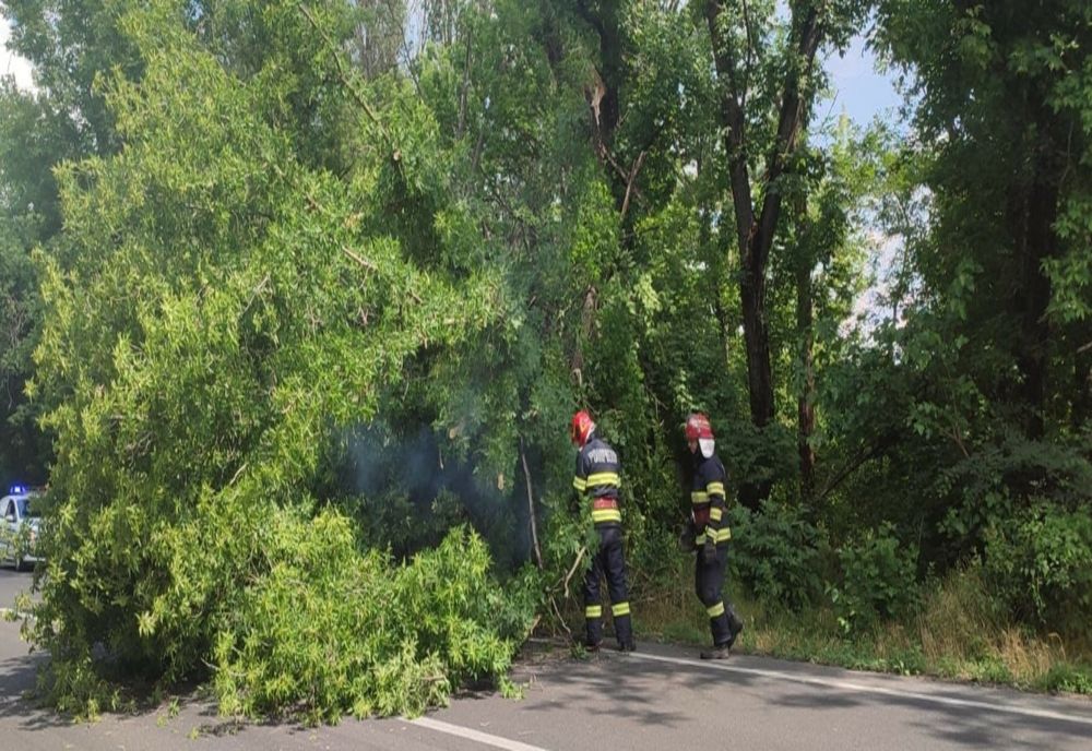 Misiunile pompierilor ialomițeni în weekend