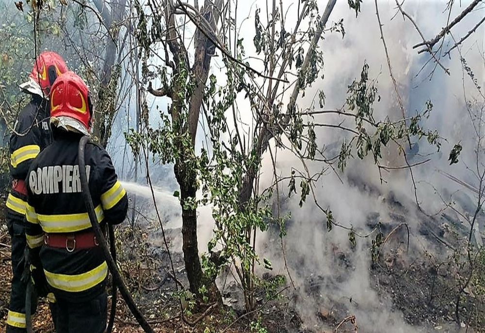 Weekend de foc pentru pompierii ialomițeni