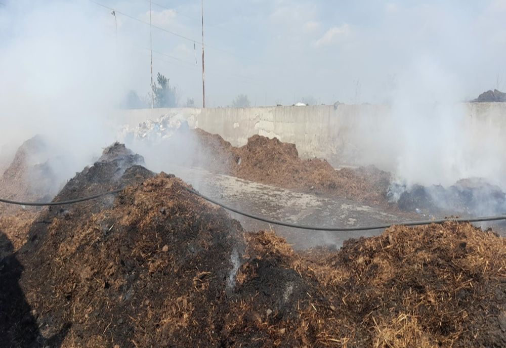 Incendiu violent la Ion Roată. Foc pus intenționat