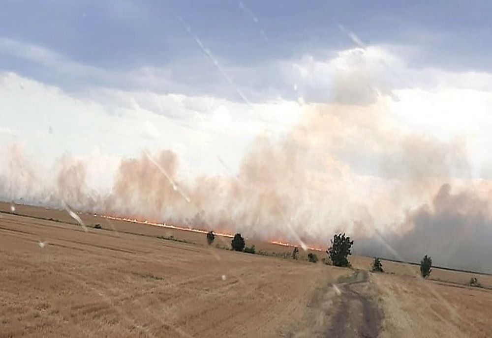 Incendiu de proporții în Ialomița. 50 de hectare de grâu distruse de flăcări