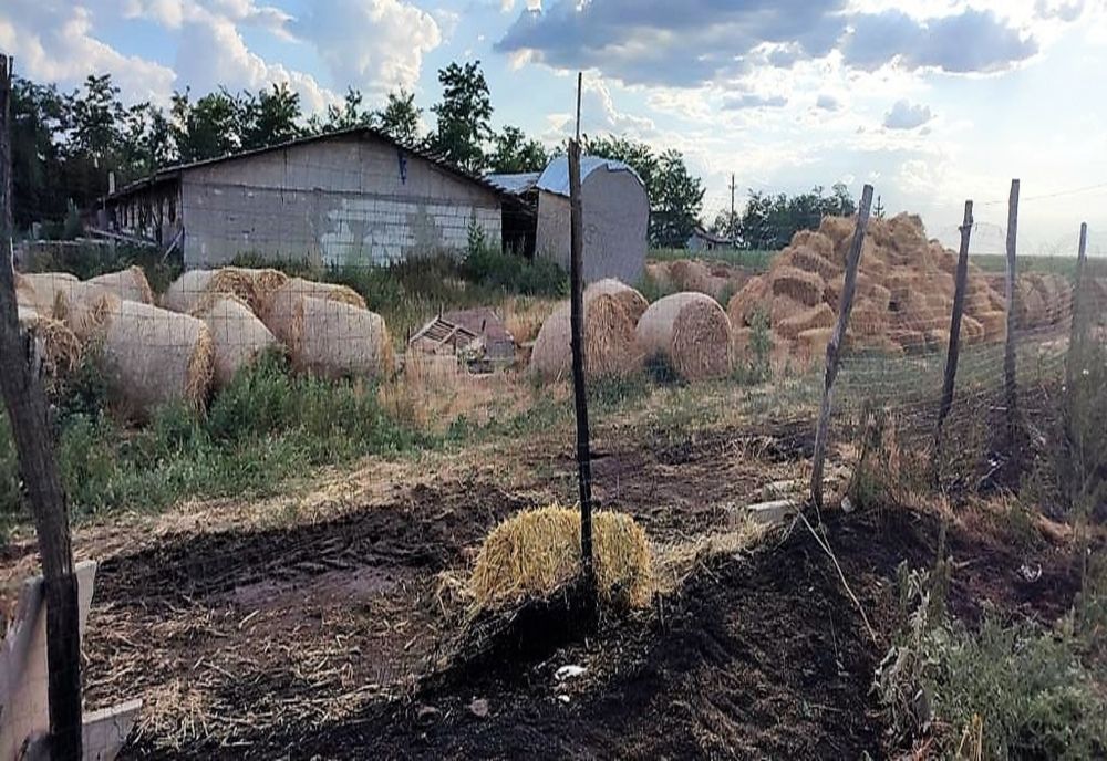 1500 de kilograme de furaje făcute scrum în Munteni Buzău