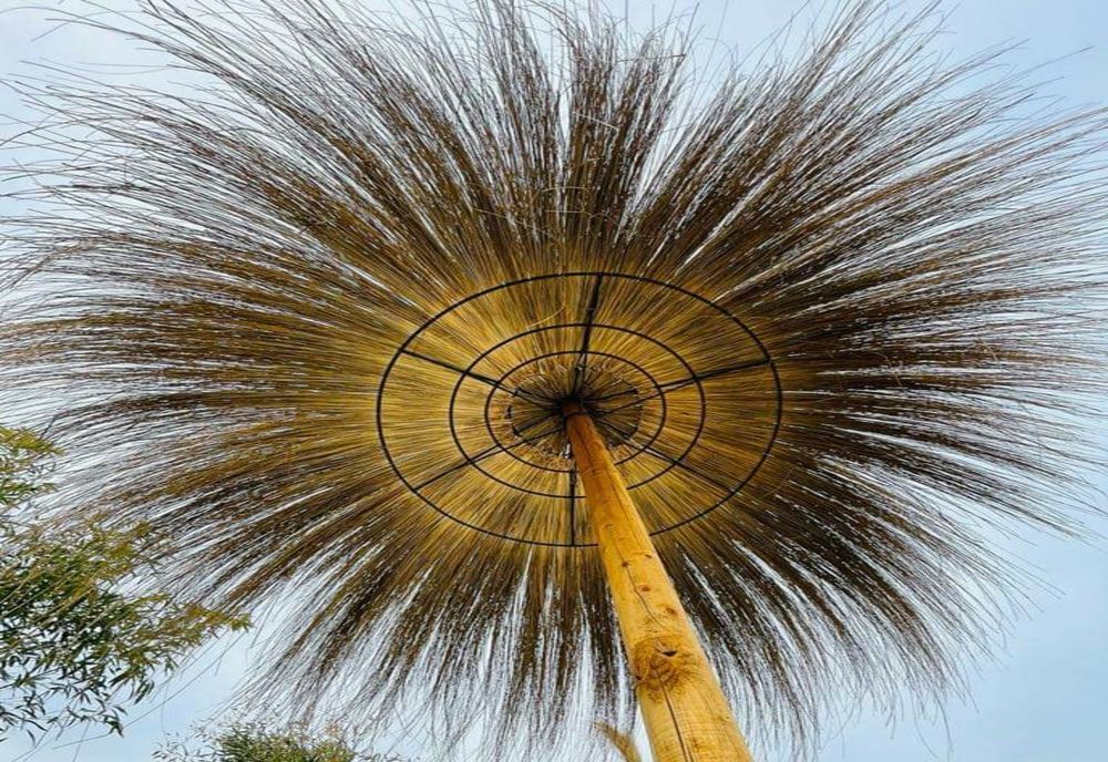 28 octombrie -Vreme neobișnuită pentru această perioadă a anului