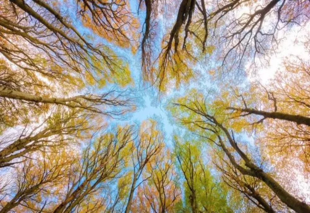 Prognoza meteo 26 decembrie. Vreme de primăvară, în toiul iernii - temperaturi de 15 grade