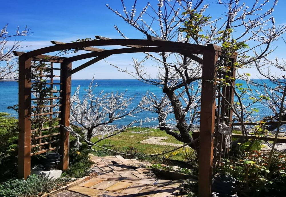 Ce se întâmplă cu vremea - Prognoza pentru următoarele 4 săptămâni