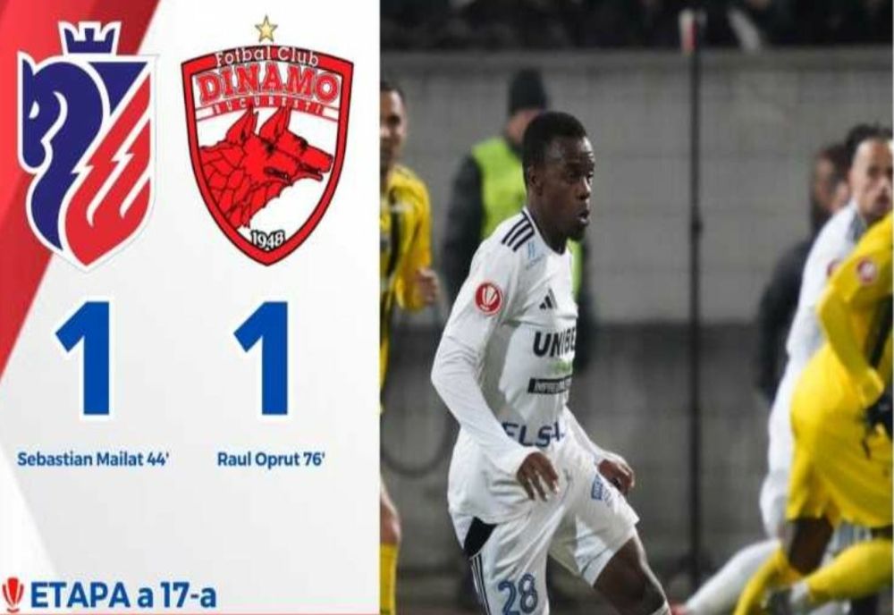 Fotbal: FC Botoșani - Dinamo București 1-1, în Superligă