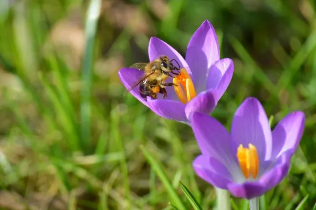 Cum va fi vremea azi în România: soare în mare parte din țară, dar apar și ploi slabe