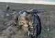 Numărul victimelor din Bacău moarte în accidentul de la Urziceni a crescut