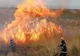 Incendiu de vegetaţie uscată pe raza localităţii Fierbinţi Târg
