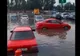 Ploile torențiale au făcut prăpăd în Bărăgan