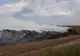 FOTO| Incendiu puternic de  vegetație uscată și gunoi de grajd la Manasia