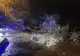 FOTO| Copaci căzuți în Slobozia din cauza ploii înghețate