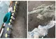 Captură impresionantă de icre negre descoperită în urma unei percheziții