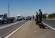 Polițiștii pe urmele hoților de animale în  Grivița și Traian