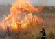 Incendiu la Jilavele. De la ce au pornit flăcările