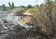 Cinci incendii izbucnite în Ialomița în ultimele 24 de ore