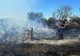 23 de misiuni desfășurate de salvatorii ialomițeni, în ultimele 24 de ore 