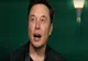 Șoc și groază! S-a aflat adevărul! Au petrecut sau nu, de Halloween, Elon Musk și Angelina Jolie, la Brașov?